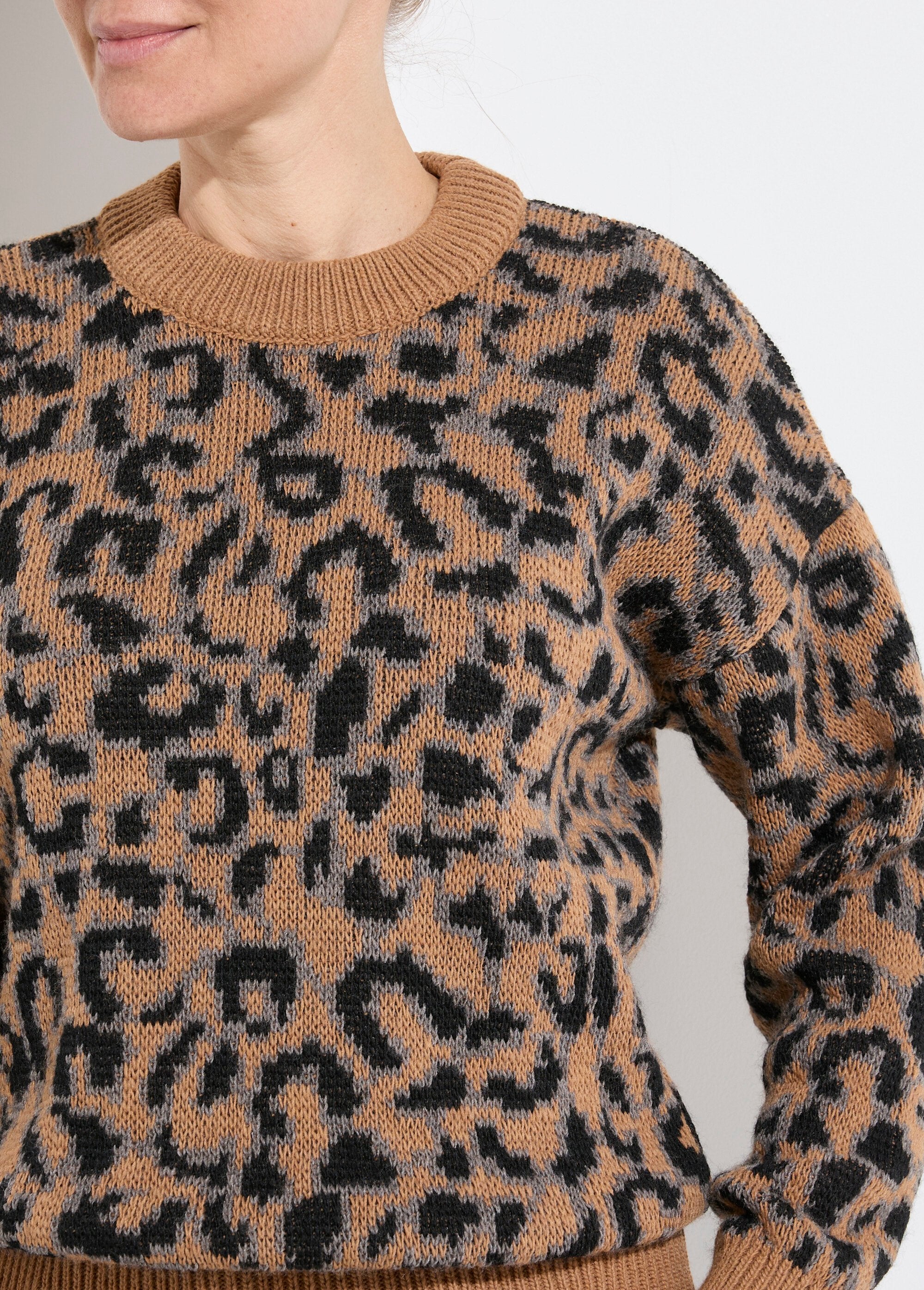 Leopard_print_sweater_with_high_neck_and_long_sleeves_Camel_and_black_DE1_slim
