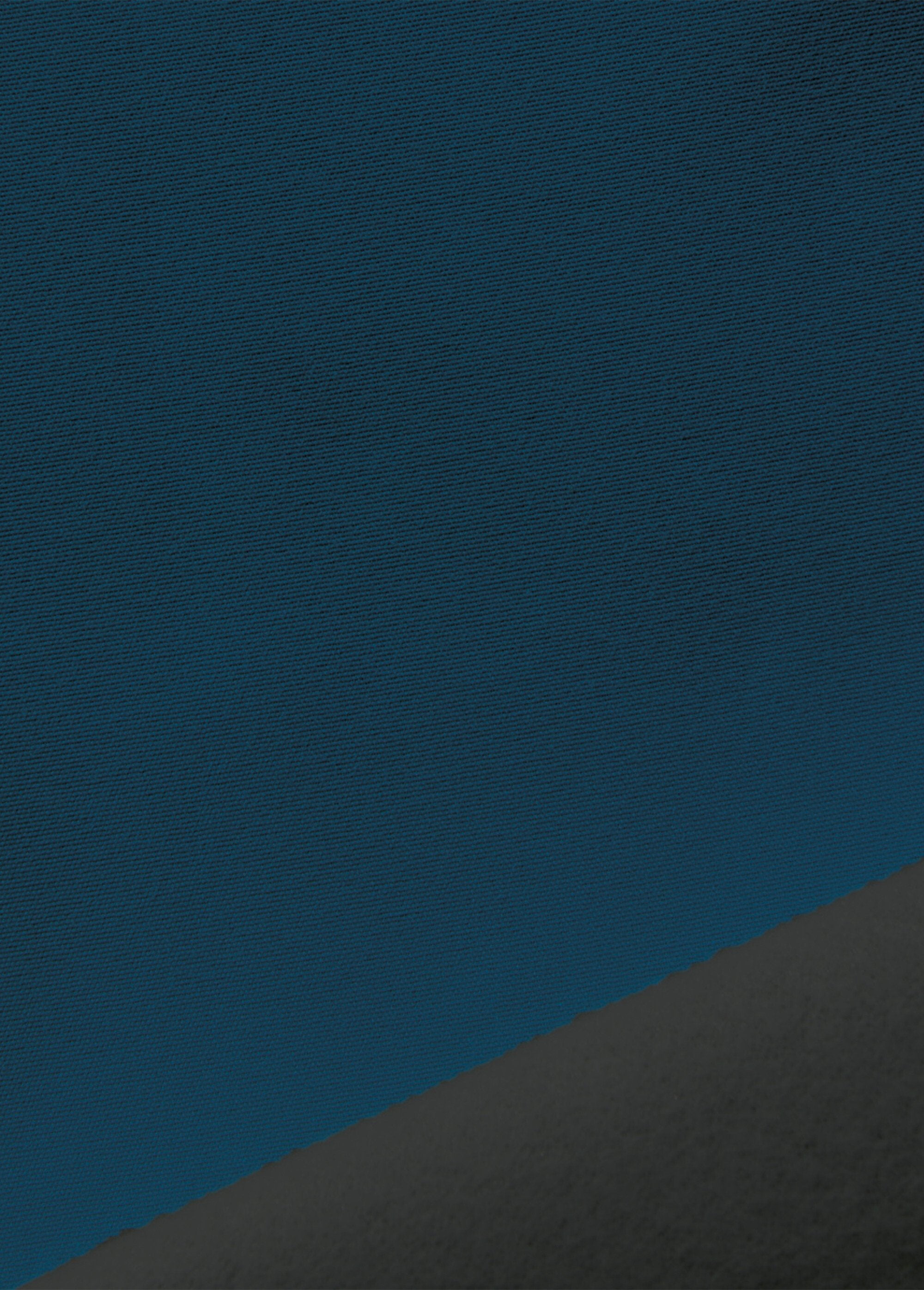 Rideau_très_occultant_et_isolant,_à_oeillets_Bleu_paon_DE1_slim