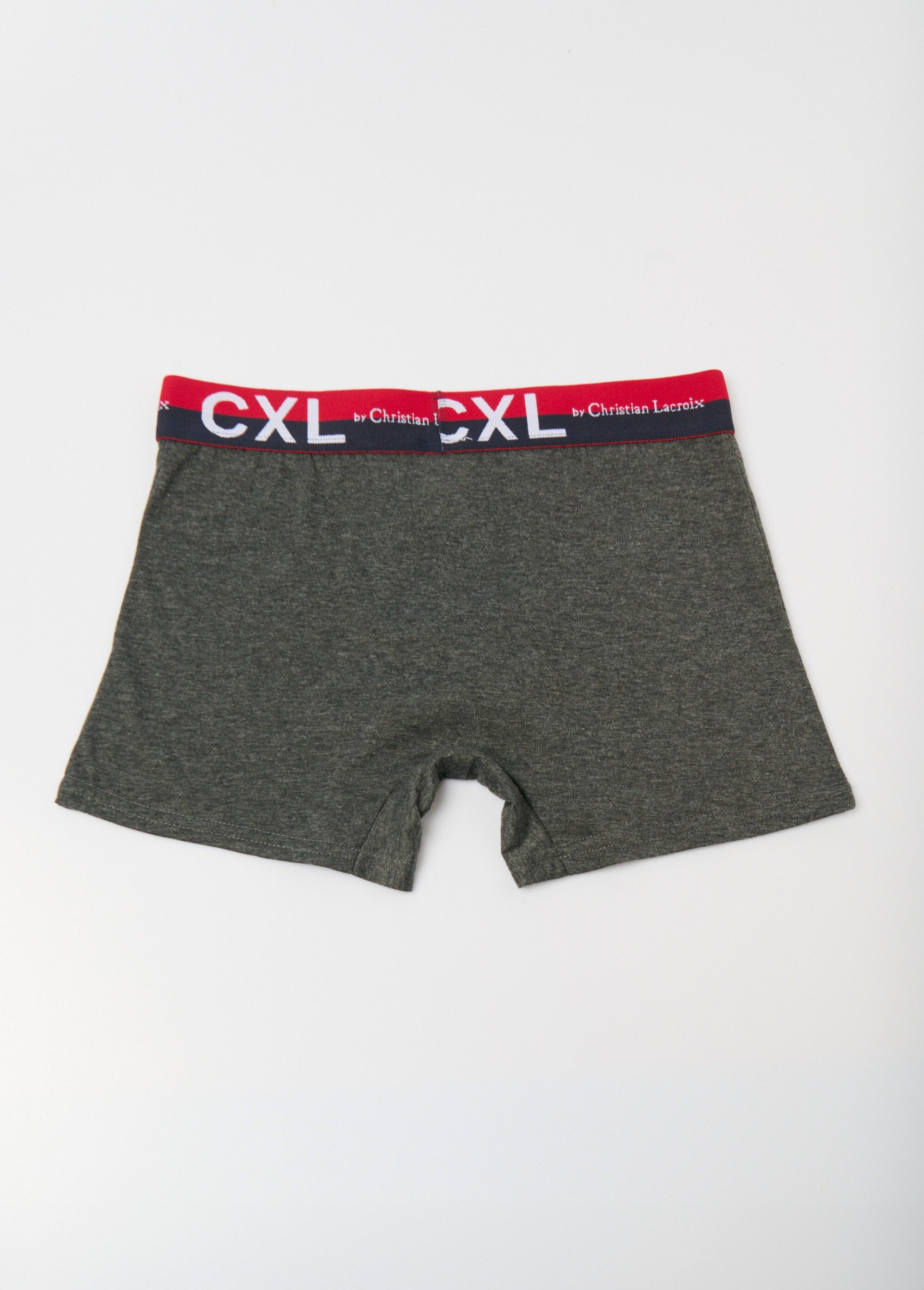 Pack_of_4_plain_boxers_with_logo_waistband_Dark_gray_DO1_slim
