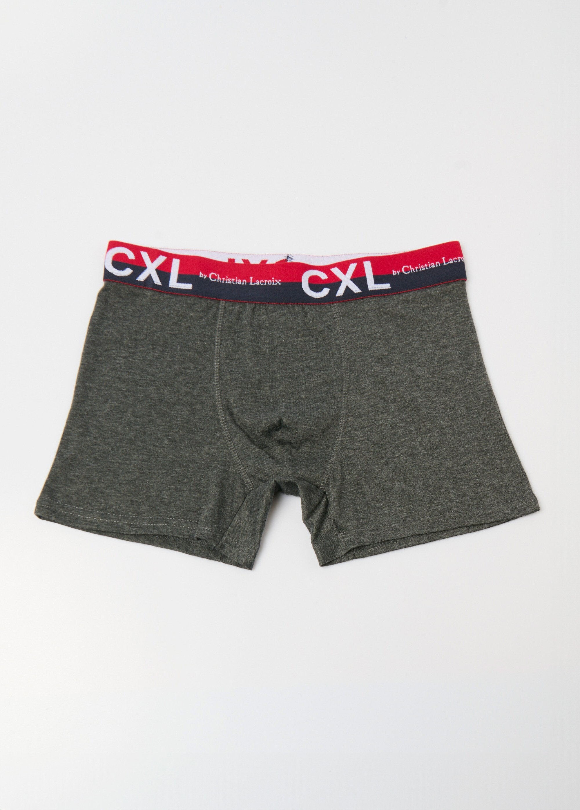 Pack_of_4_plain_boxers_with_logo_waistband_Dark_gray_FA1_slim