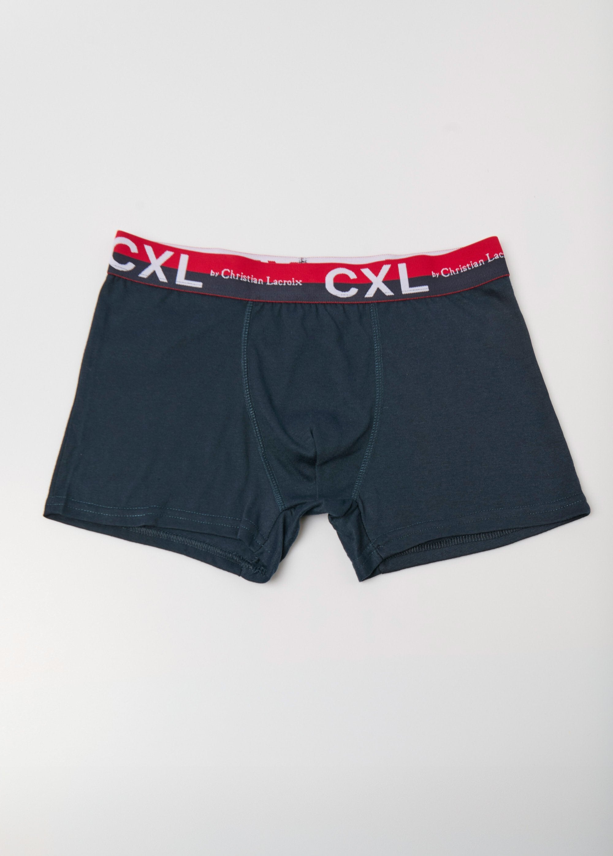 Pack_of_4_plain_boxers_with_logo_waistband_Blue_FA1_slim