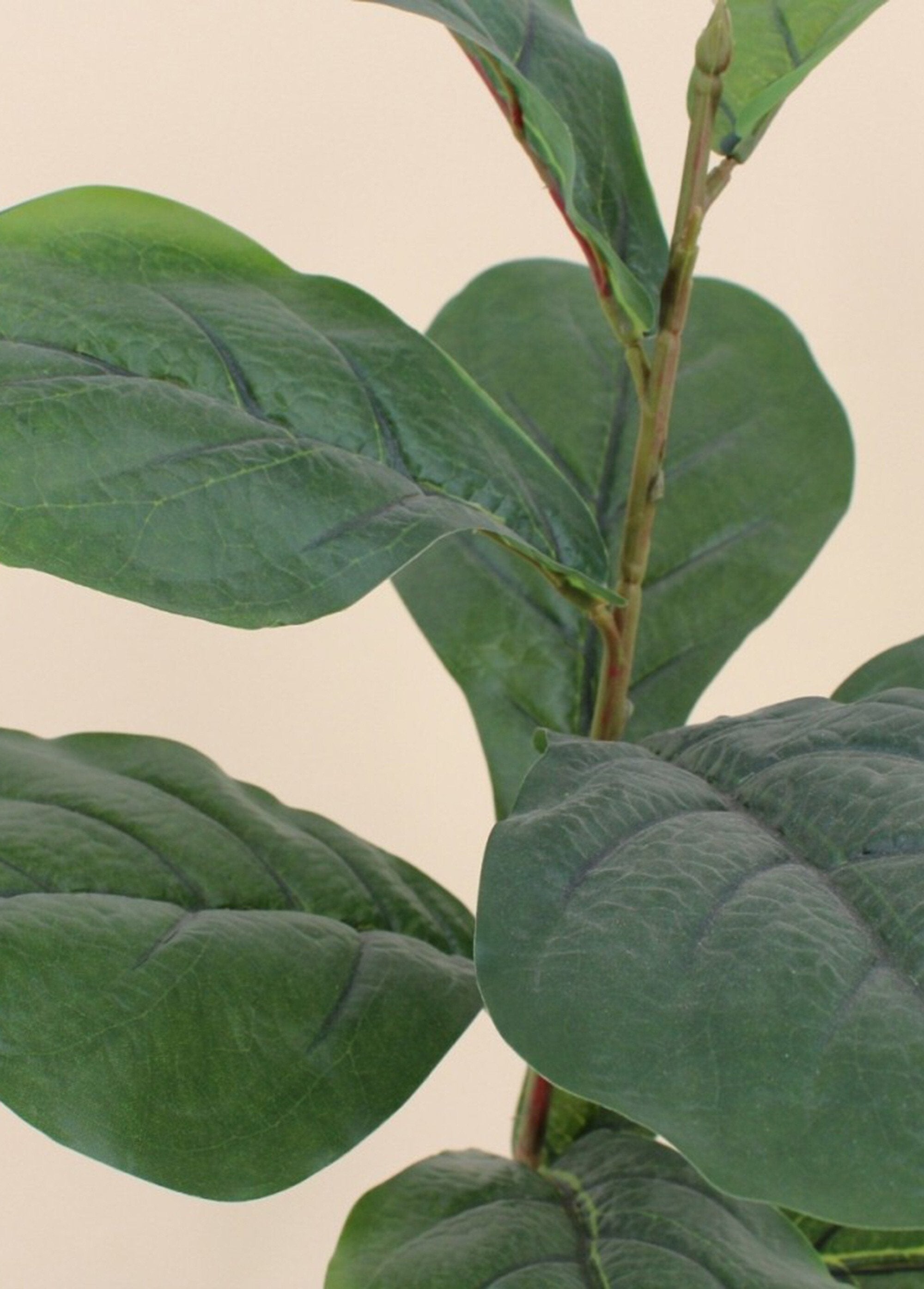 Artificial_Fiddle-leaf_Fig_Plant_+_Pot_Black_DE1_slim