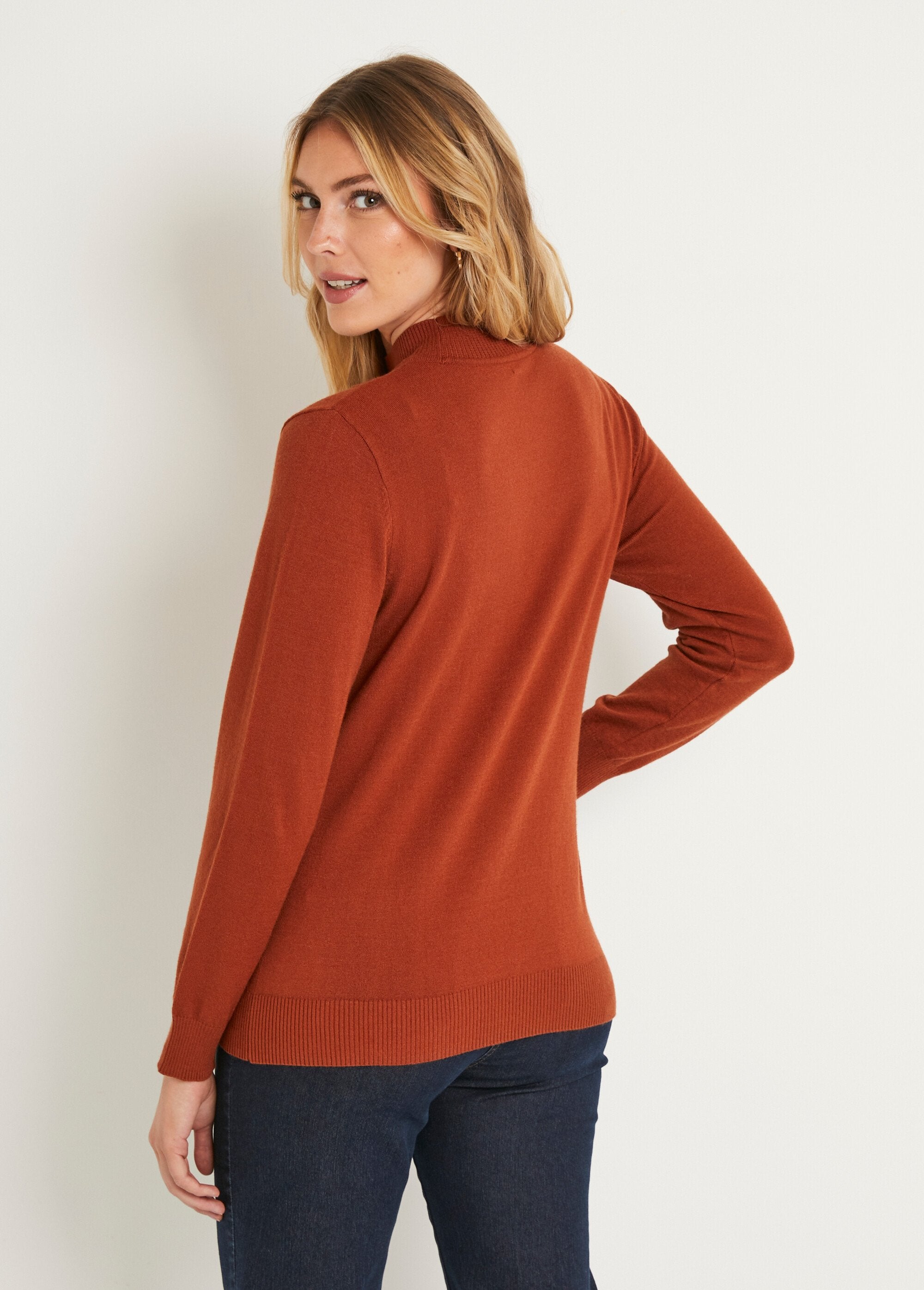 Soft,_plain_sweater_with_modal_blend_stand-up_collar_Hazelnut_DO1_slim