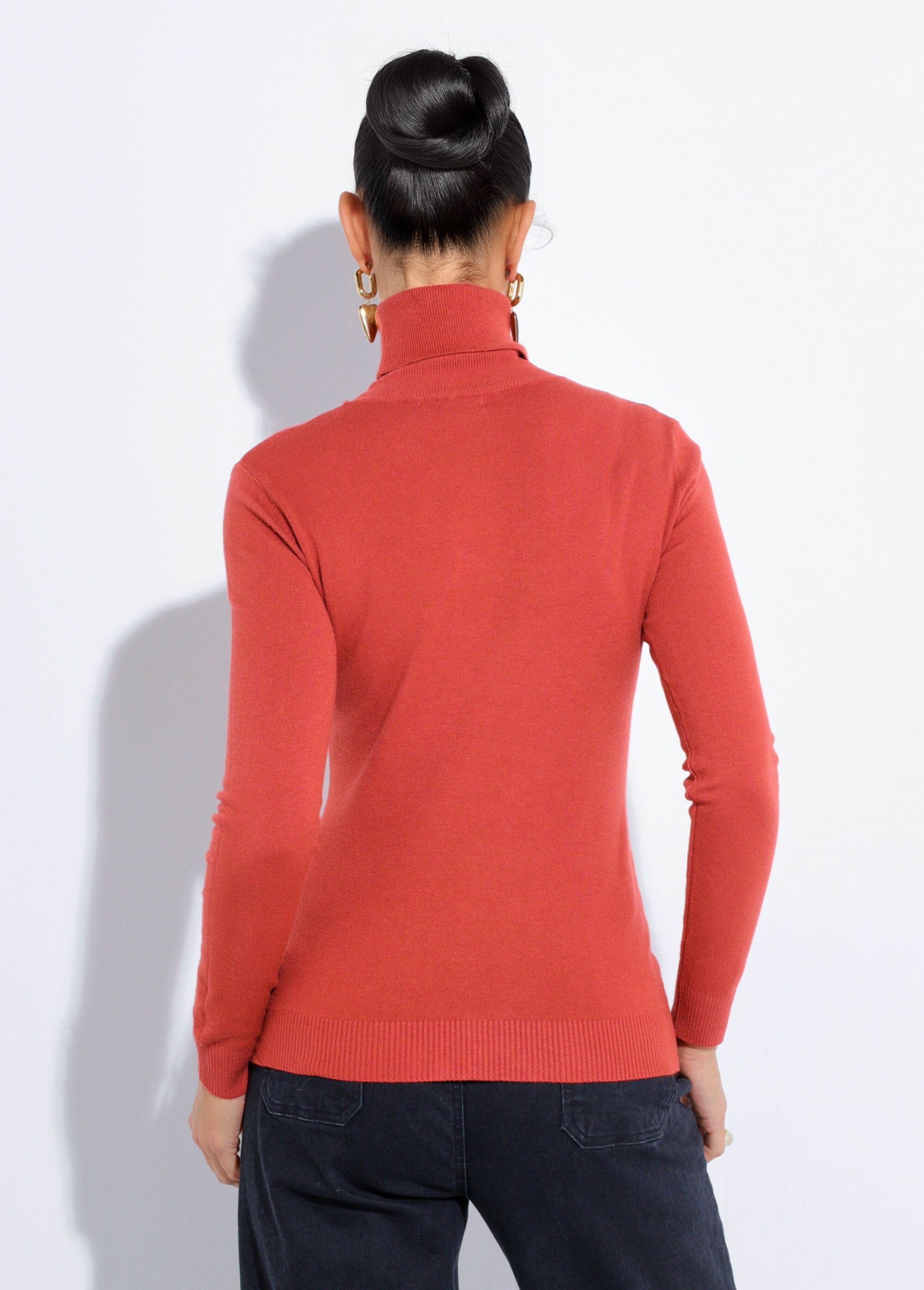 Pull_fin_en_maille_avec_col_roulé_Brique_DO1_slim